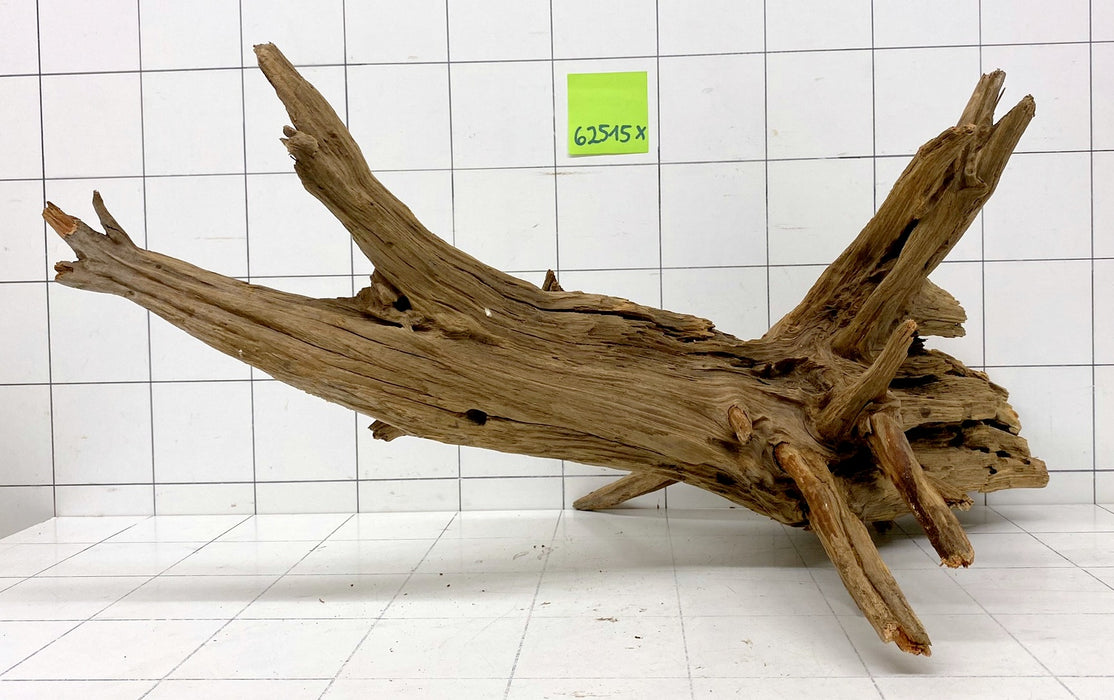62515X - XINGU Wood Wurzelholz
