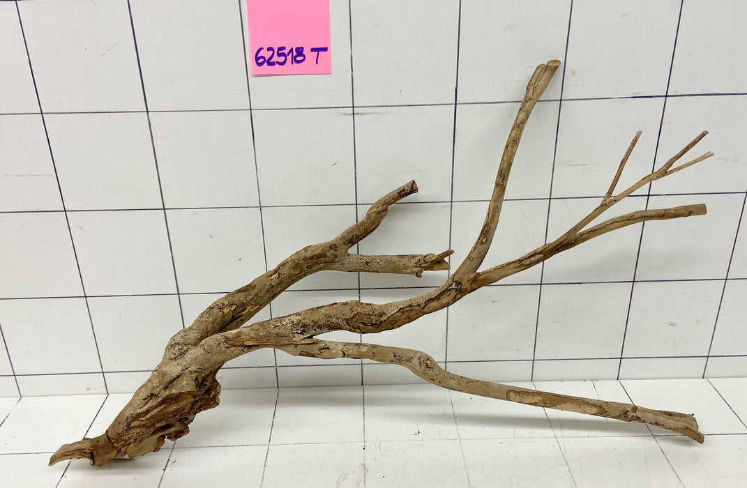 62518T Talawa Wurzel Holz