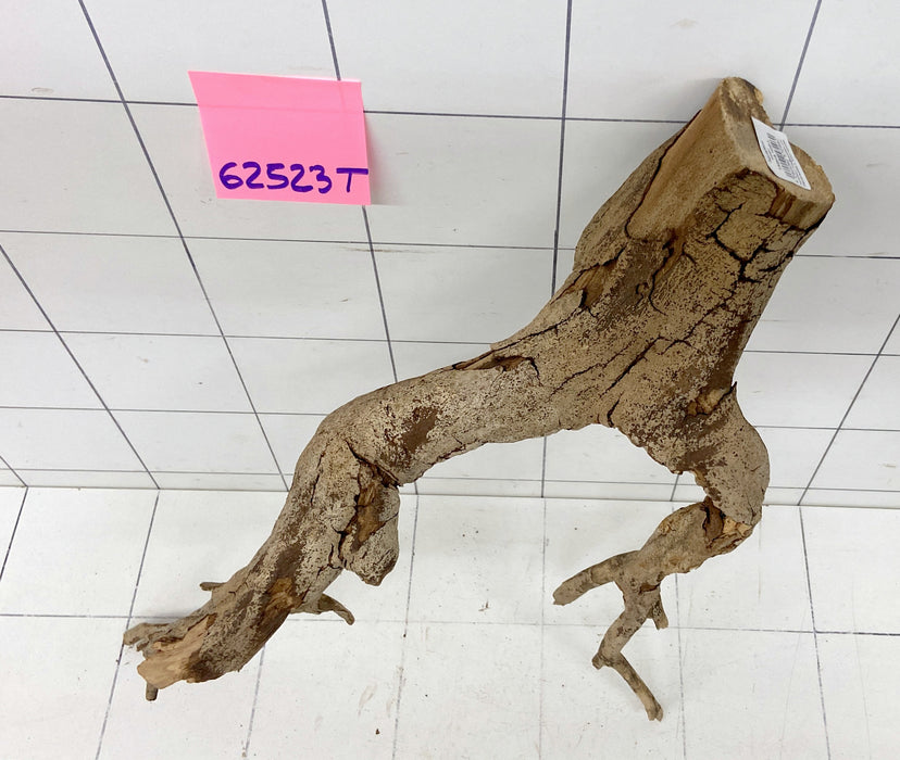 62523T Talawa Wurzel Holz