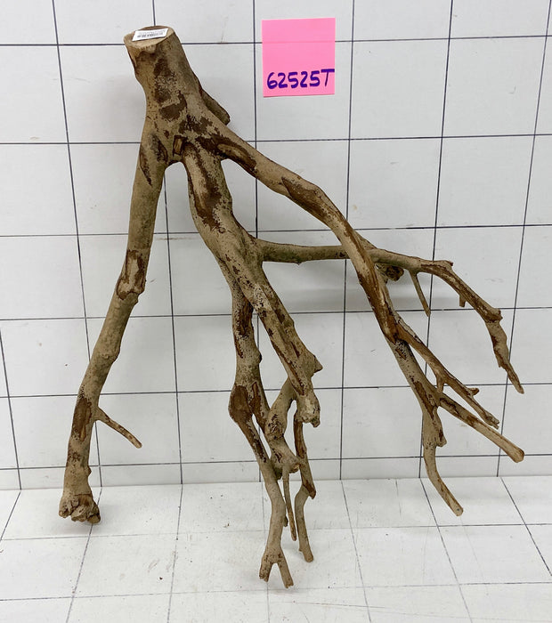 62525T Talawa Wurzel Holz