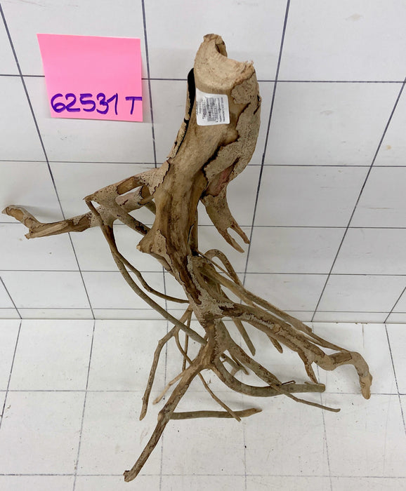 62531T Talawa Wurzel Holz