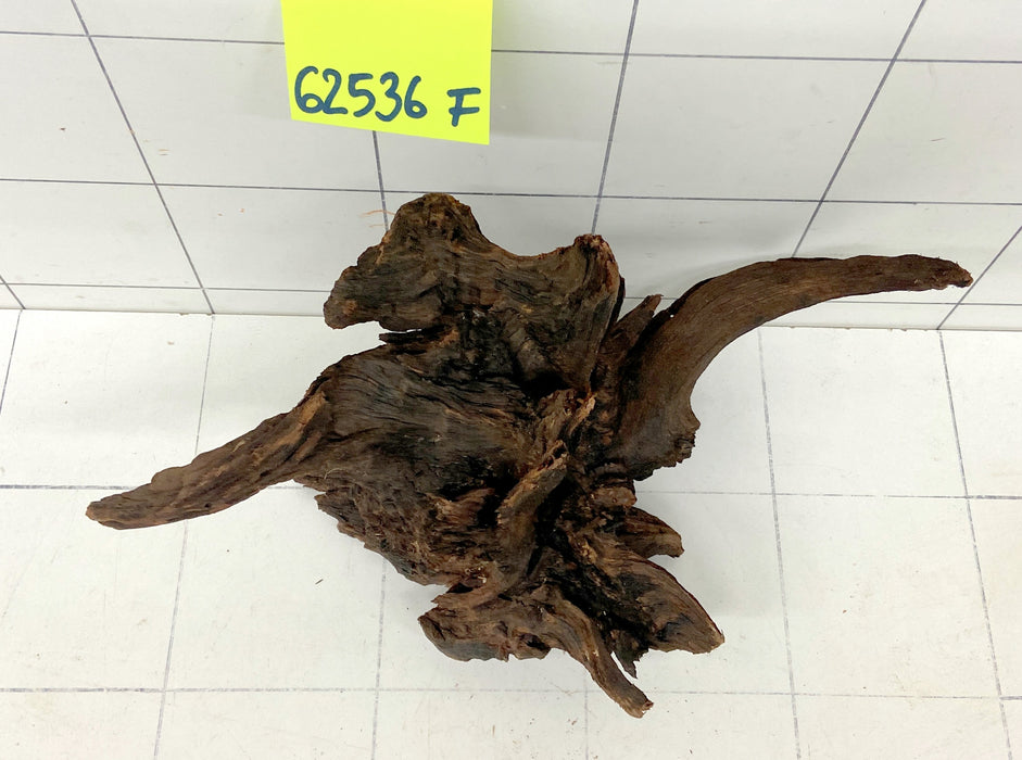 62536F Flussholz / Driftwood / Flusswurzel