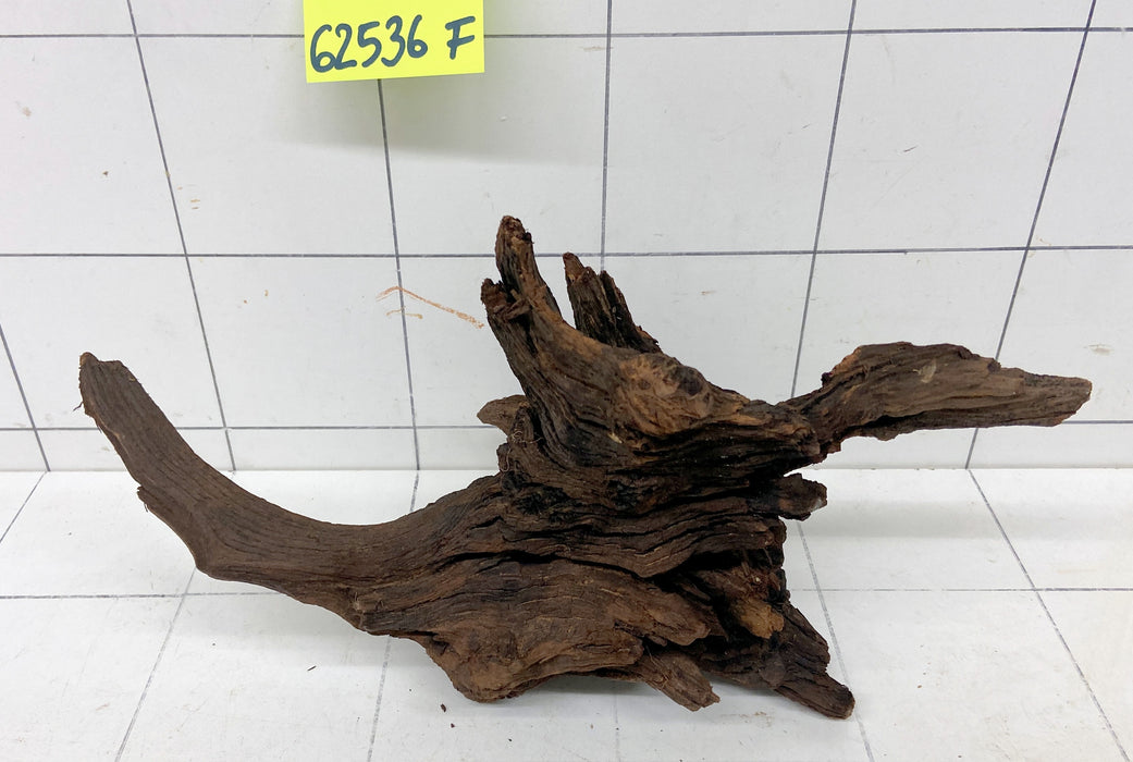 62536F Flussholz / Driftwood / Flusswurzel