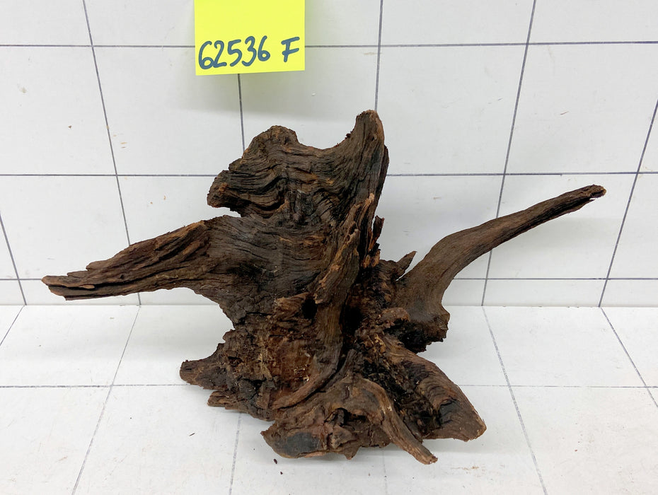 62536F Flussholz / Driftwood / Flusswurzel