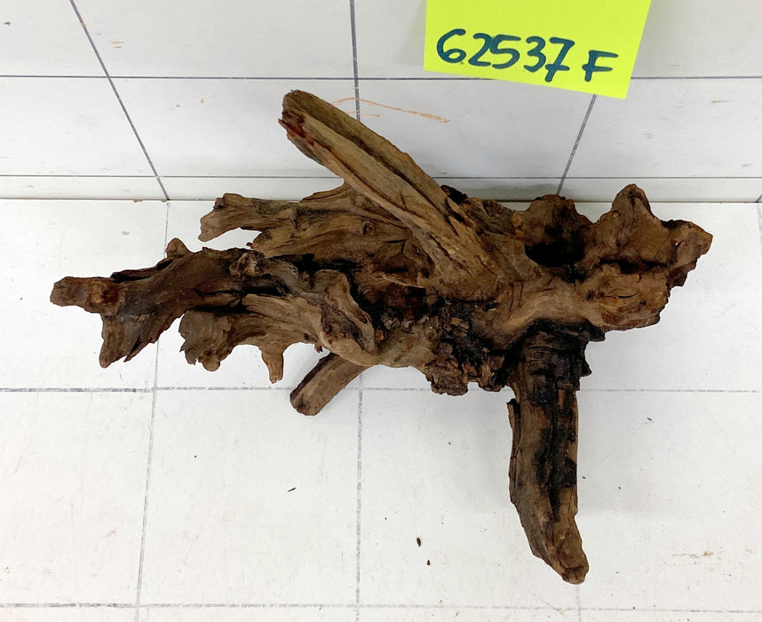 62537F Flussholz / Driftwood / Flusswurzel