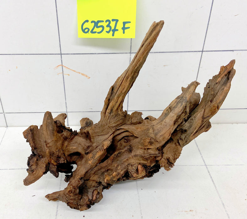 62537F Flussholz / Driftwood / Flusswurzel