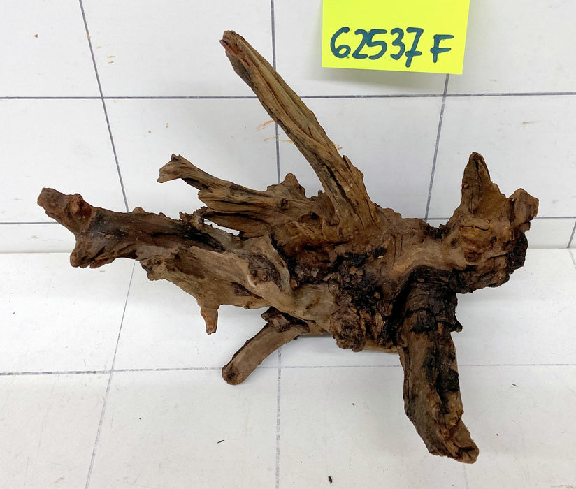 62537F Flussholz / Driftwood / Flusswurzel