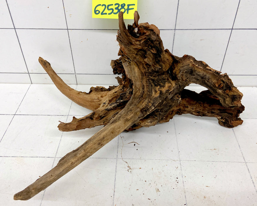 62538F Flussholz / Driftwood / Flusswurzel
