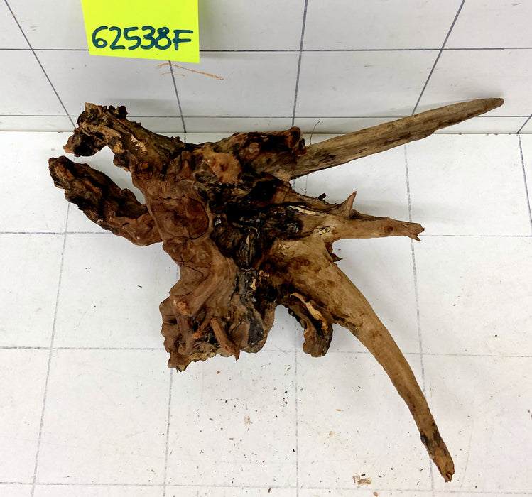 62538F Flussholz / Driftwood / Flusswurzel