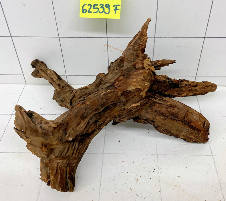 62539F Flussholz / Driftwood / Flusswurzel