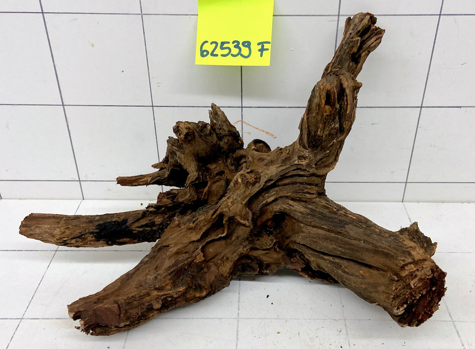 62539F Flussholz / Driftwood / Flusswurzel