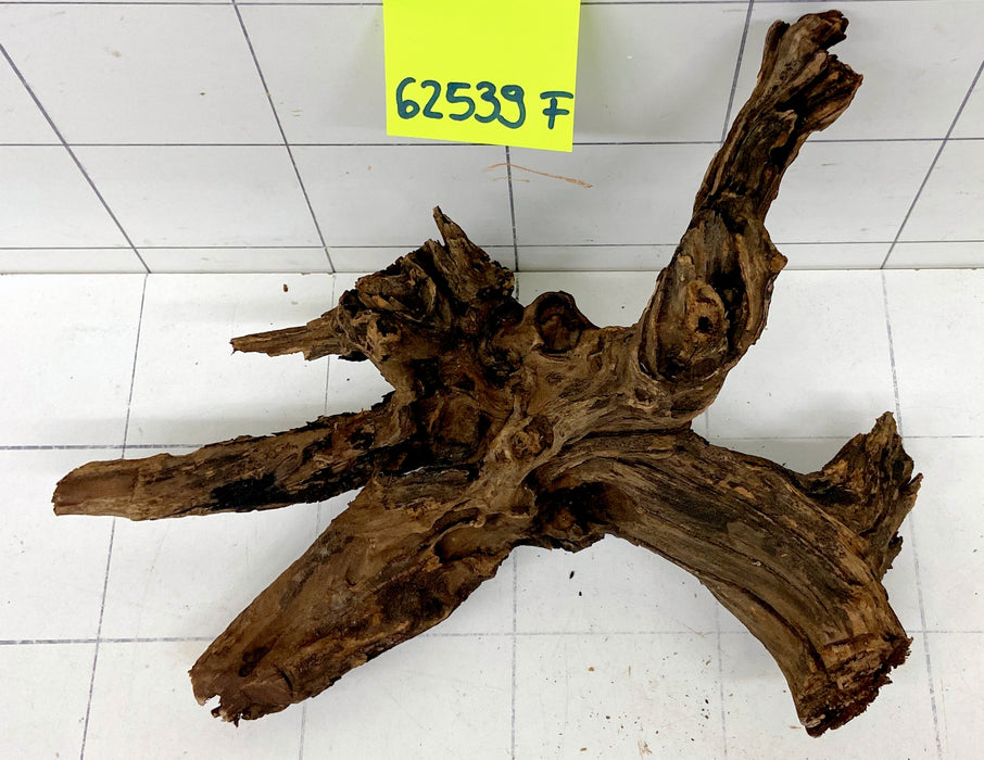 62539F Flussholz / Driftwood / Flusswurzel