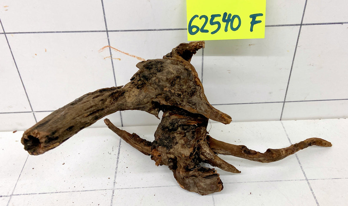 62540F Flussholz / Driftwood / Flusswurzel