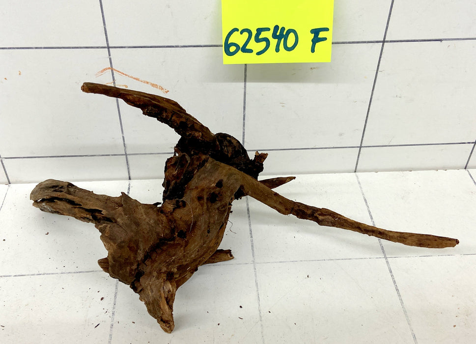 62540F Flussholz / Driftwood / Flusswurzel