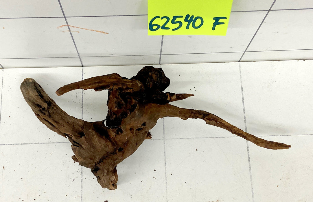 62540F Flussholz / Driftwood / Flusswurzel