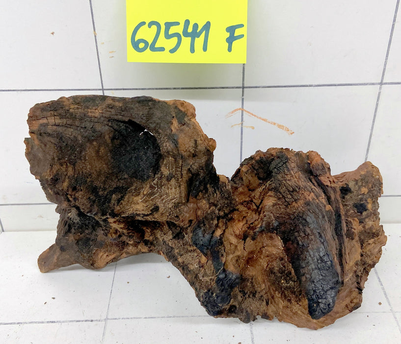 62541F Flussholz / Driftwood / Flusswurzel