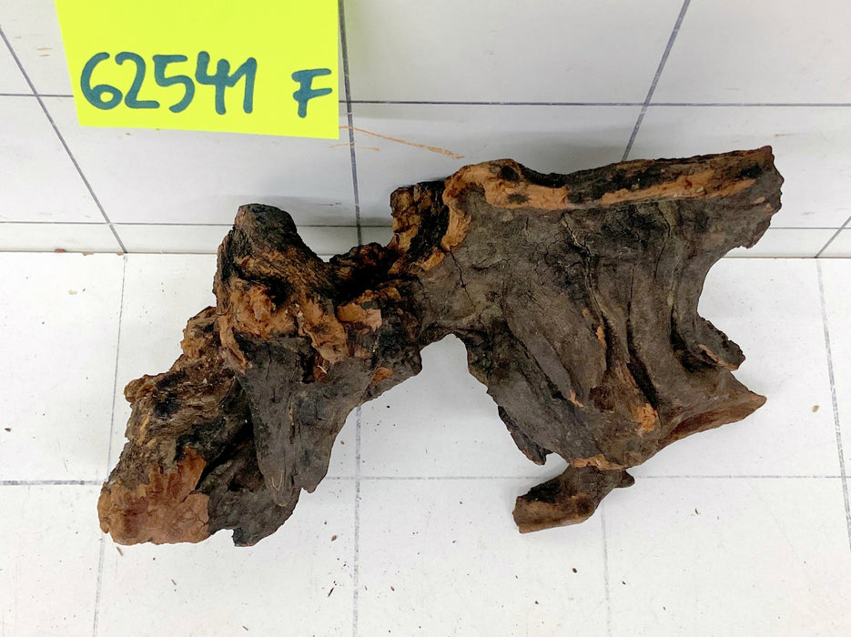 62541F Flussholz / Driftwood / Flusswurzel