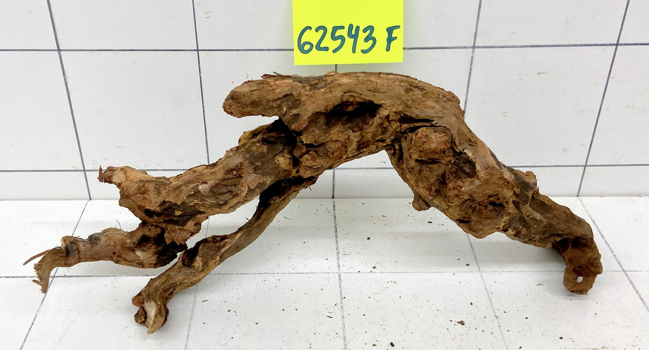 62543F Flussholz / Driftwood / Flusswurzel