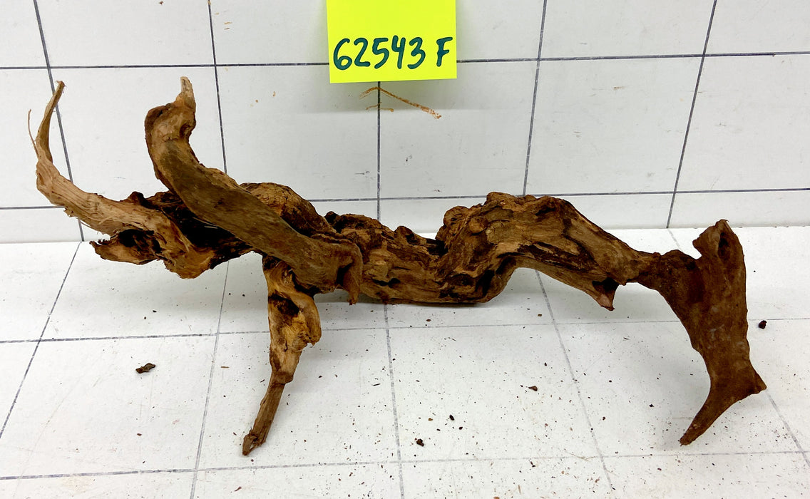62543F Flussholz / Driftwood / Flusswurzel