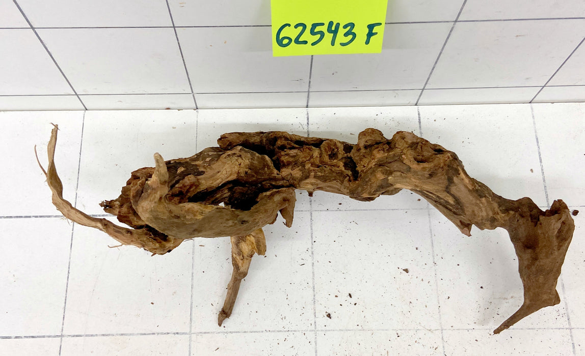 62543F Flussholz / Driftwood / Flusswurzel