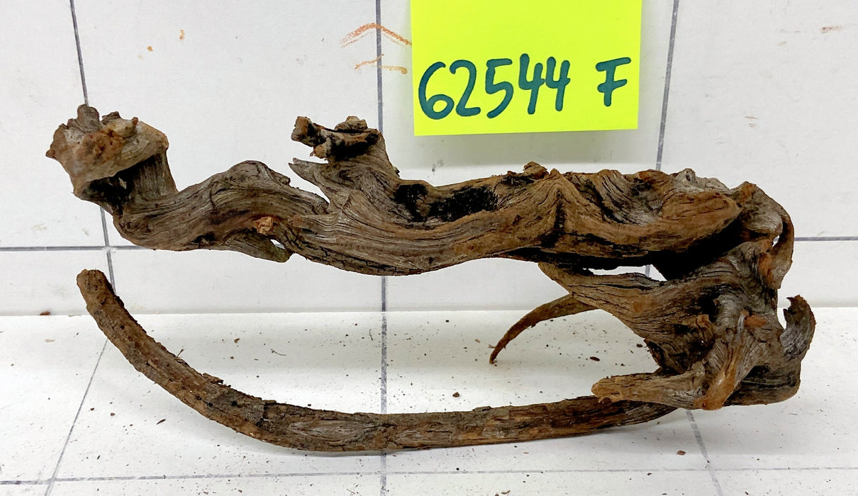 62544F Flussholz / Driftwood / Flusswurzel