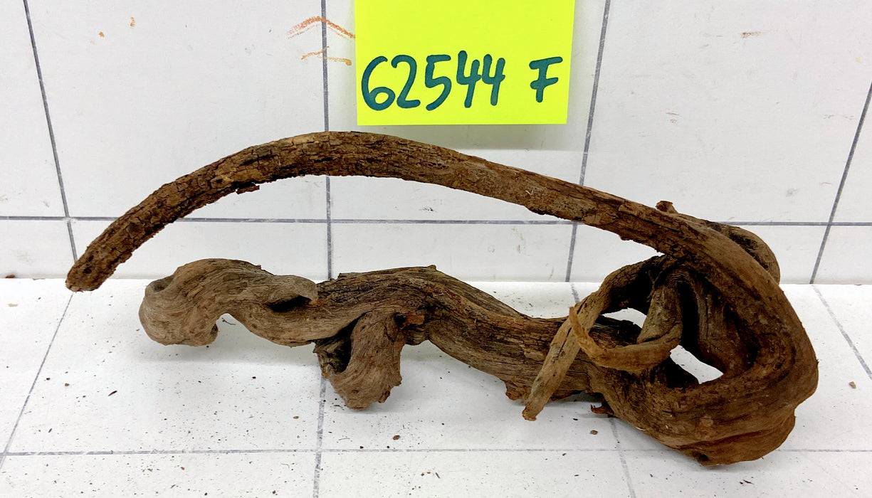 62544F Flussholz / Driftwood / Flusswurzel