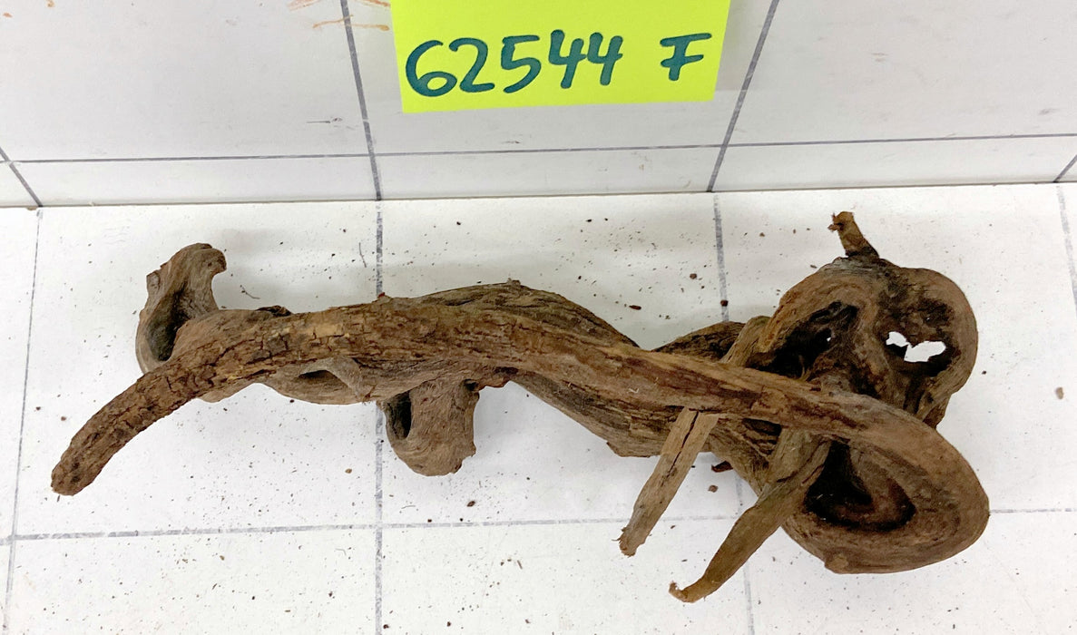 62544F Flussholz / Driftwood / Flusswurzel