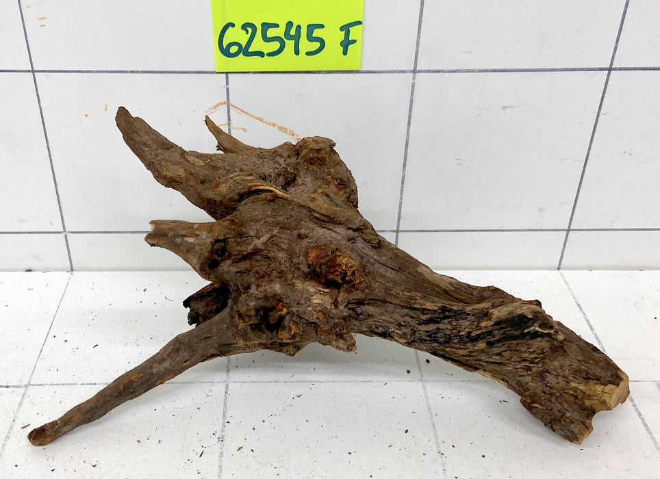 62545F Flussholz / Driftwood / Flusswurzel