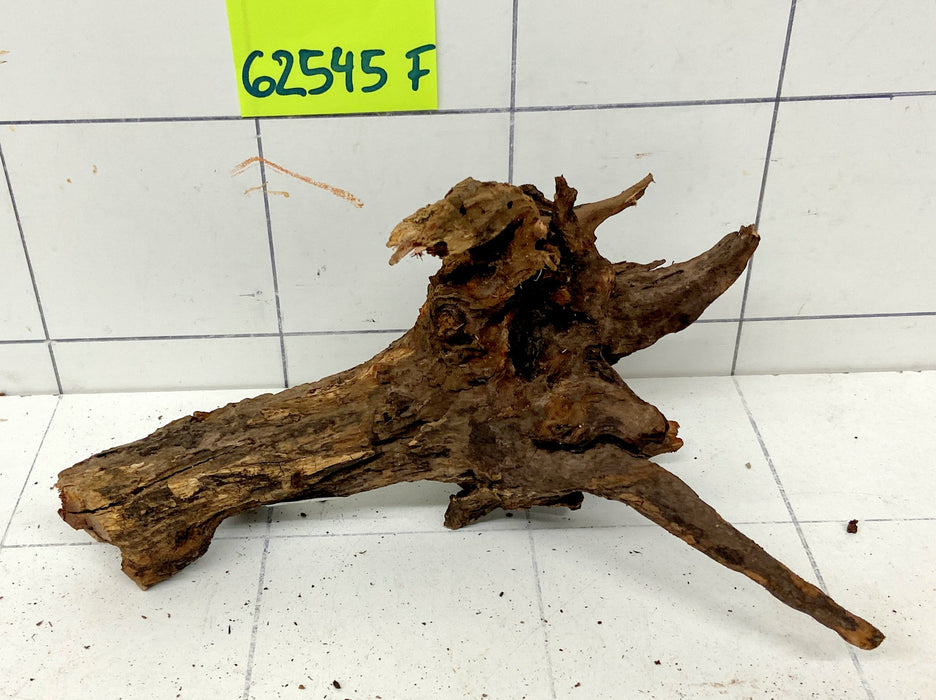 62545F Flussholz / Driftwood / Flusswurzel