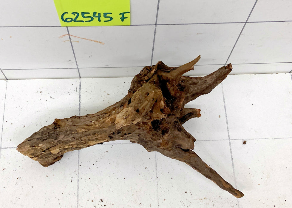 62545F Flussholz / Driftwood / Flusswurzel