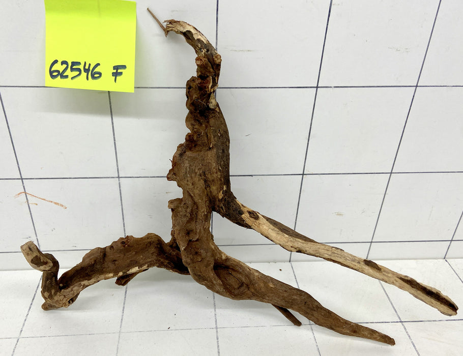 62546F Flussholz / Driftwood / Flusswurzel