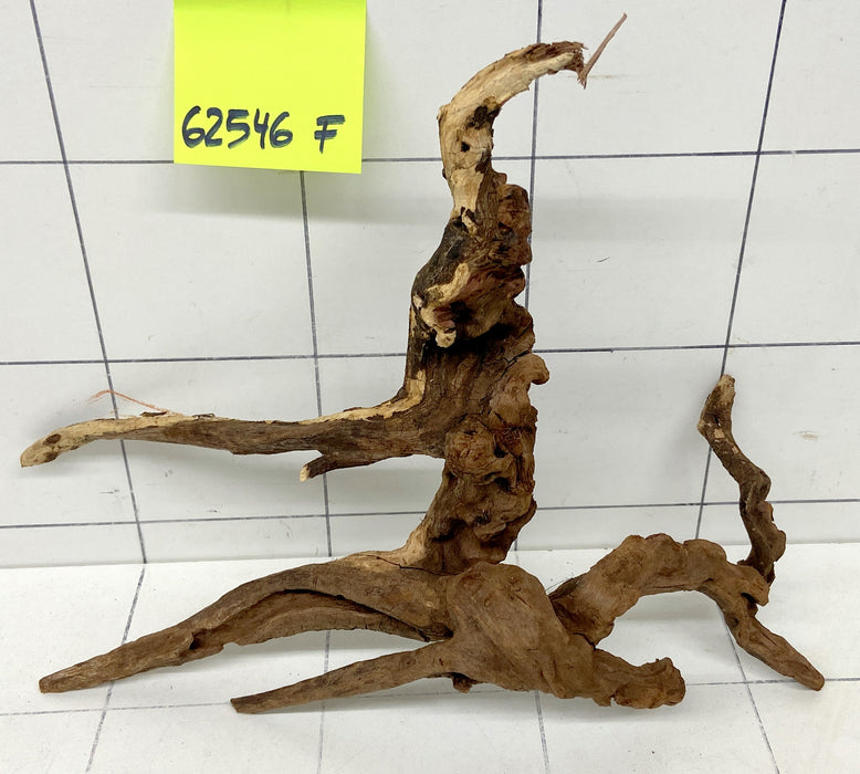 62546F Flussholz / Driftwood / Flusswurzel