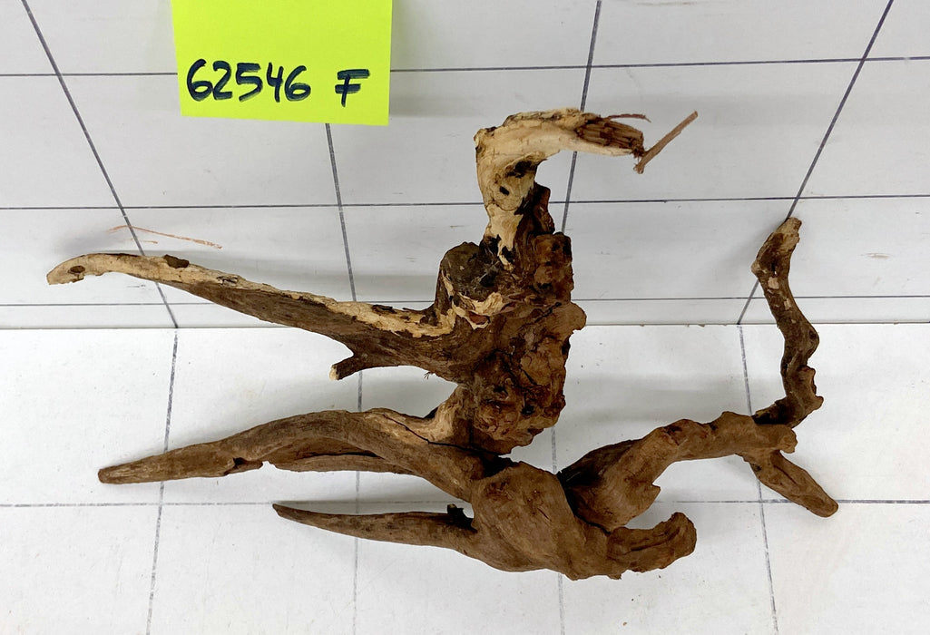 62546F Flussholz / Driftwood / Flusswurzel