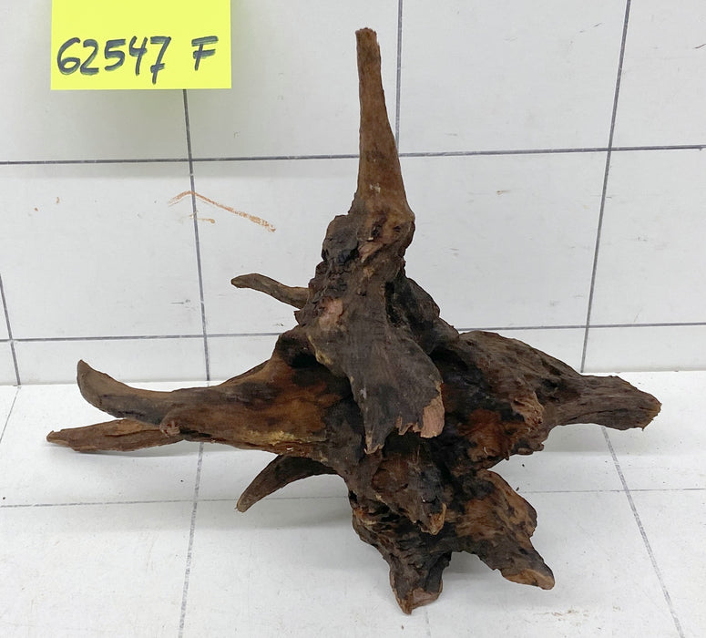 62547F Flussholz / Driftwood / Flusswurzel
