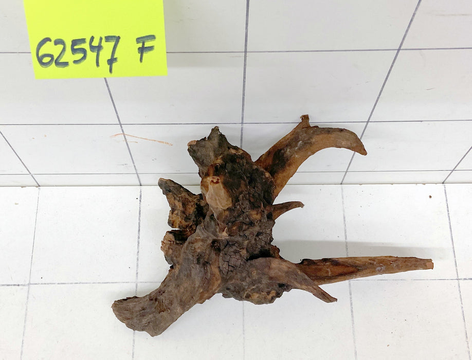 62547F Flussholz / Driftwood / Flusswurzel