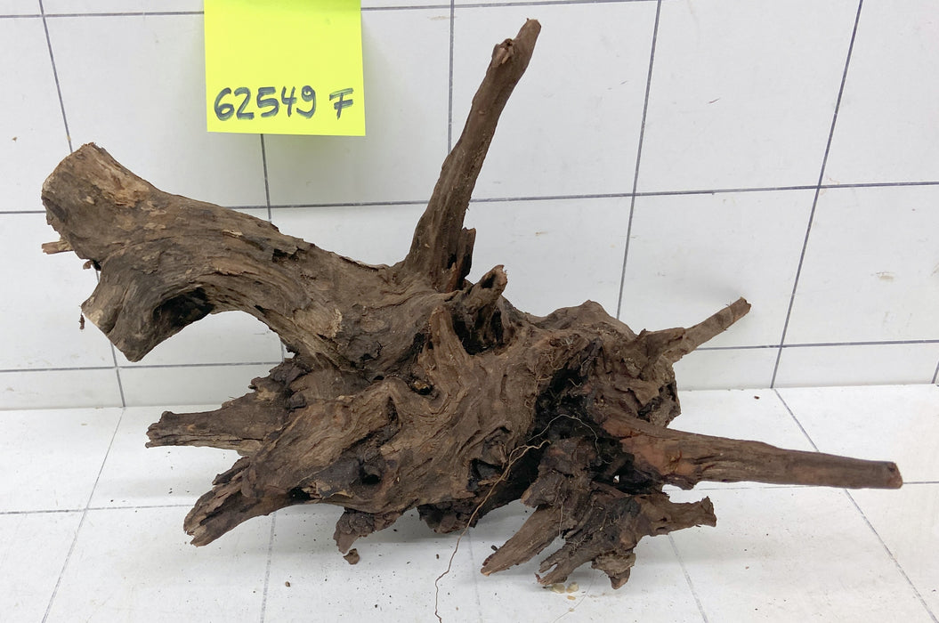 62549F Flussholz / Driftwood / Flusswurzel