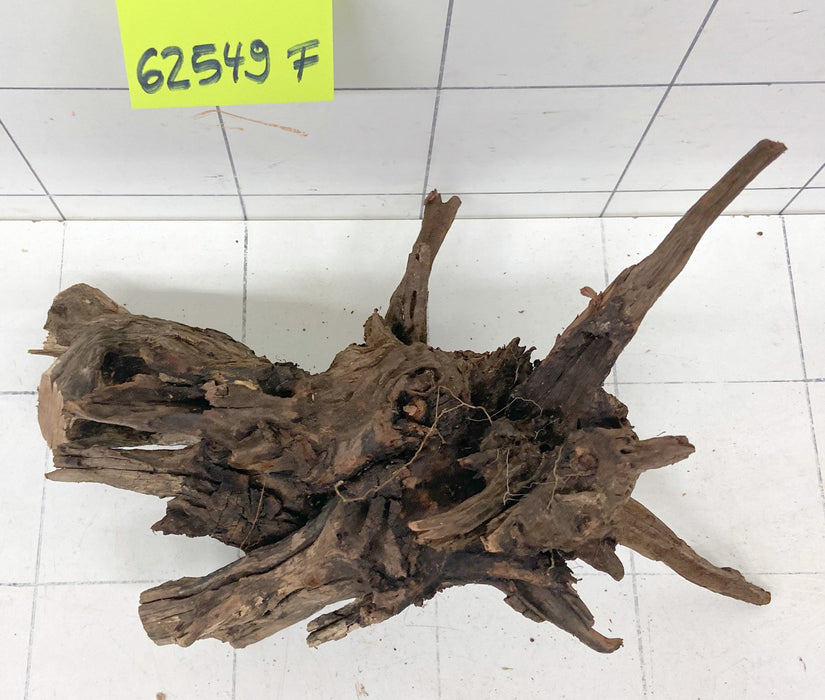 62549F Flussholz / Driftwood / Flusswurzel
