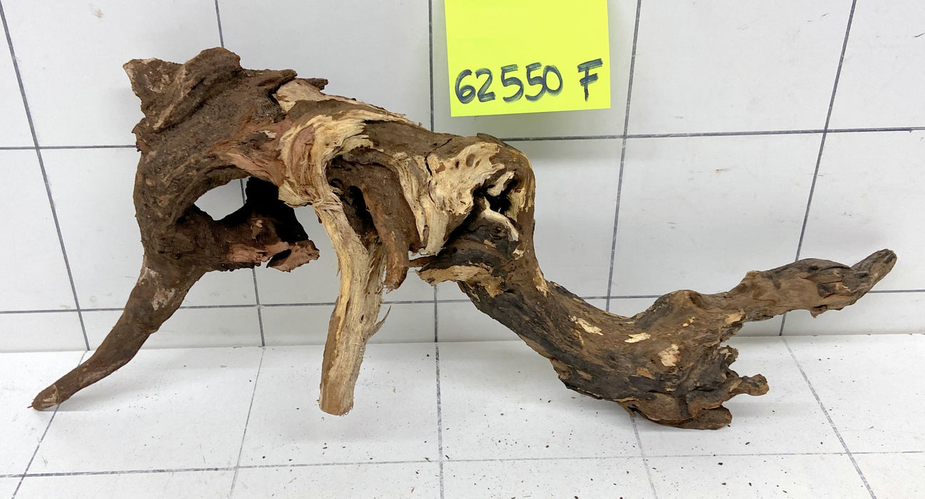 62550F Flussholz / Driftwood / Flusswurzel