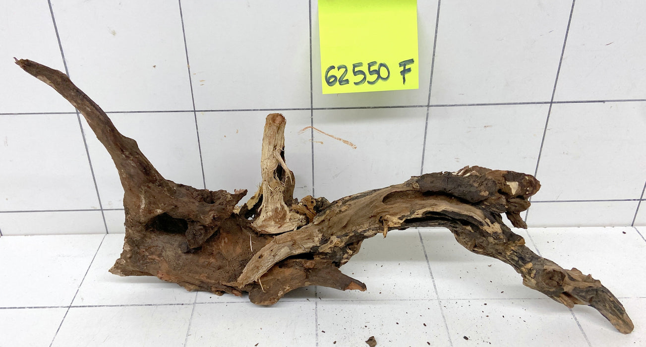 62550F Flussholz / Driftwood / Flusswurzel