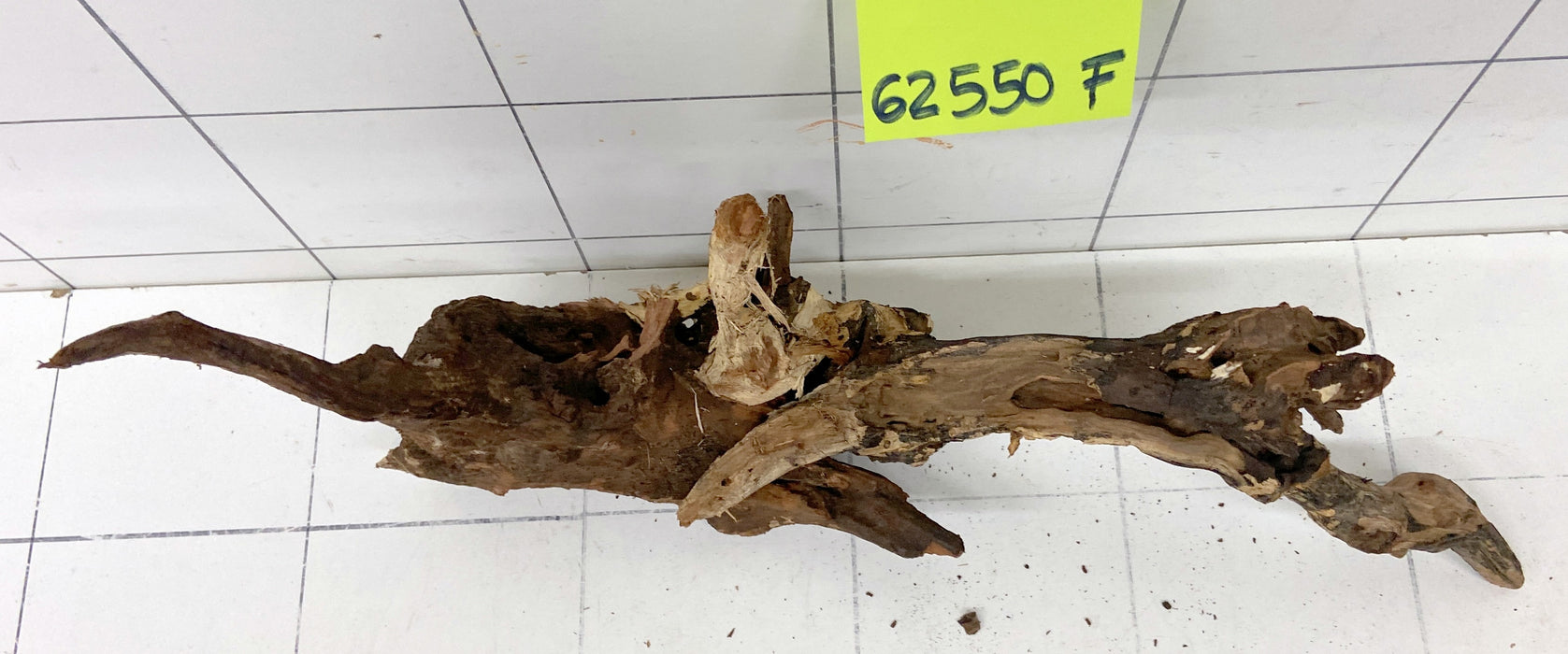 62550F Flussholz / Driftwood / Flusswurzel