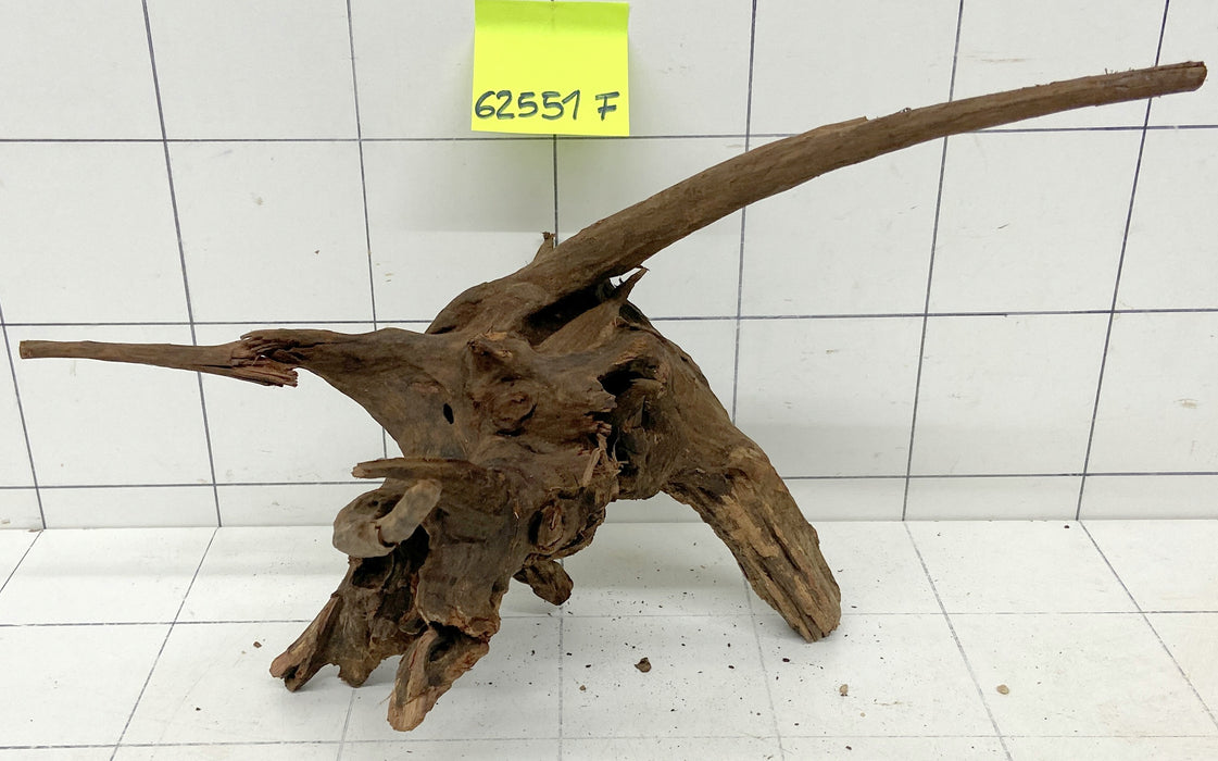 62551F Flussholz / Driftwood / Flusswurzel