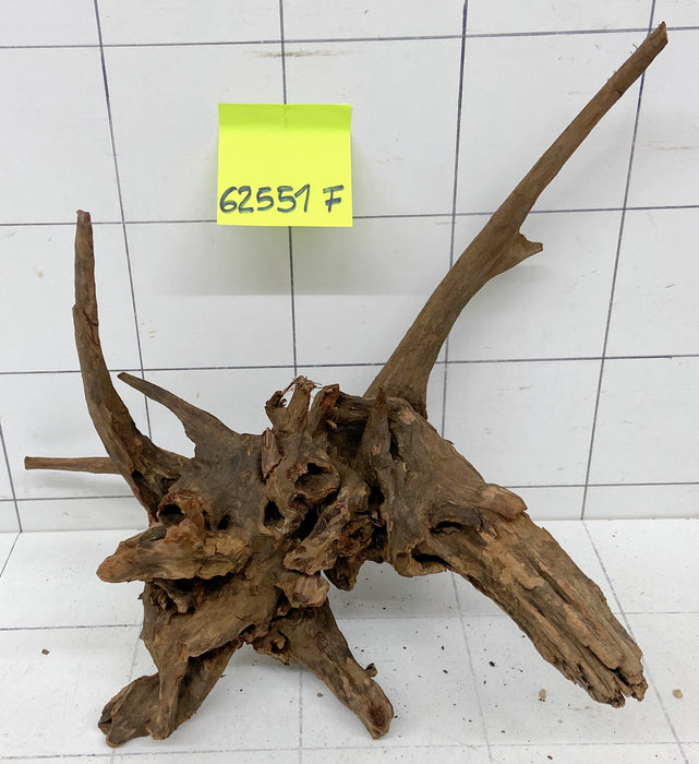 62551F Flussholz / Driftwood / Flusswurzel