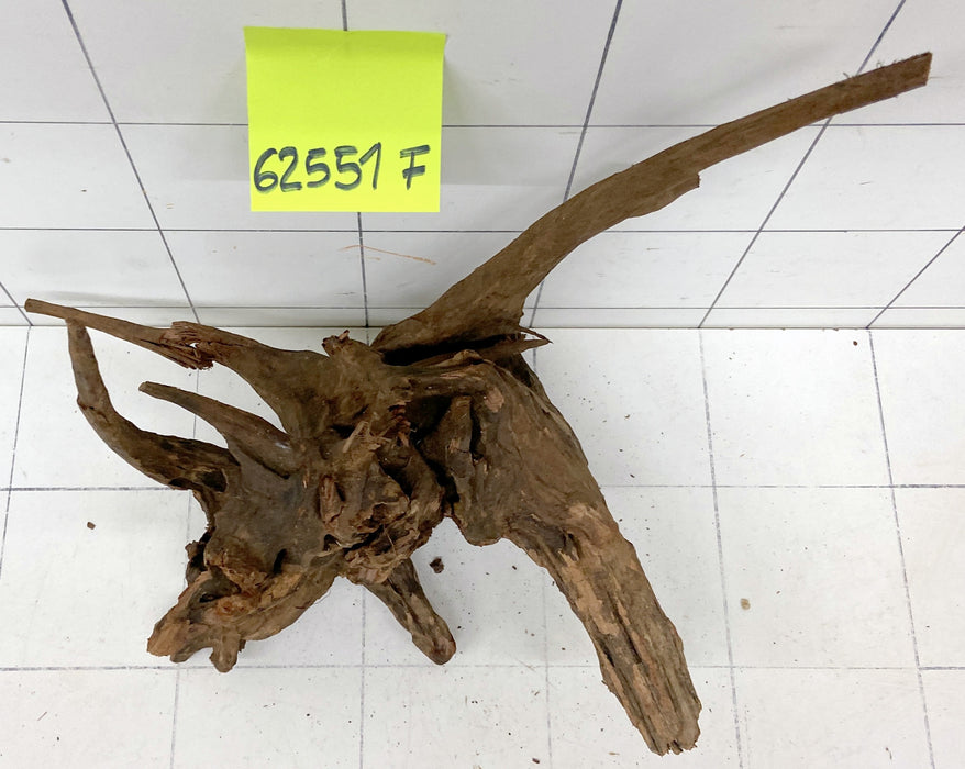 62551F Flussholz / Driftwood / Flusswurzel