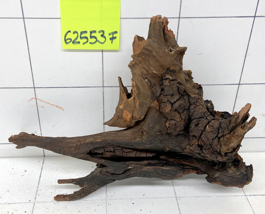 62553F Flussholz / Driftwood / Flusswurzel