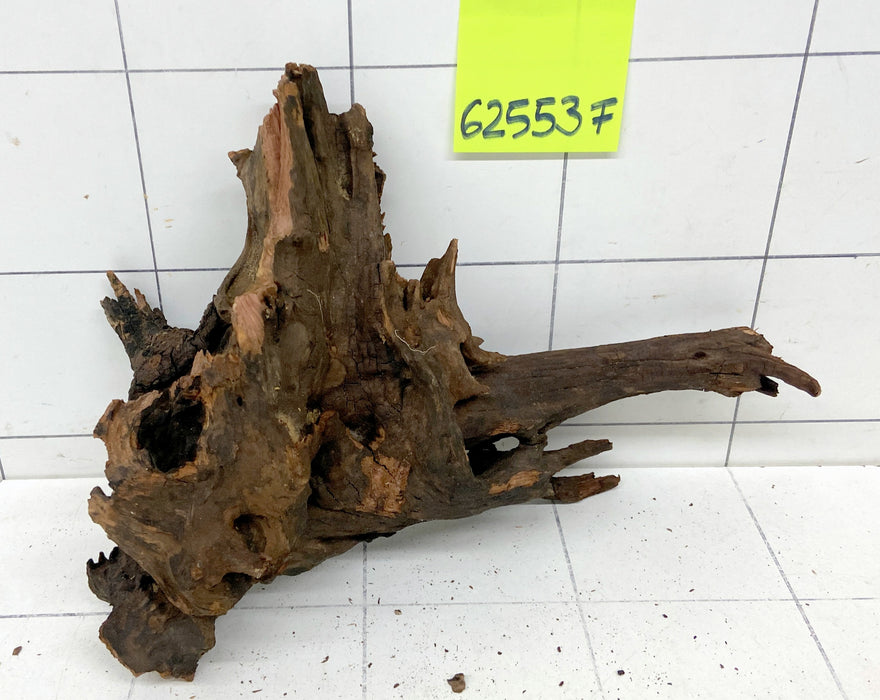 62553F Flussholz / Driftwood / Flusswurzel