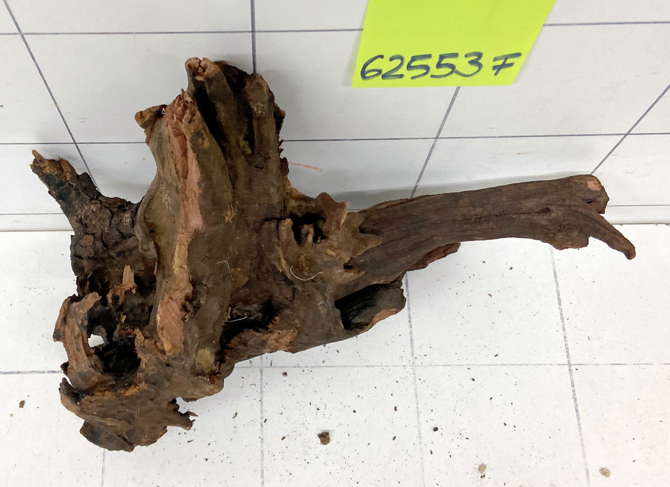 62553F Flussholz / Driftwood / Flusswurzel