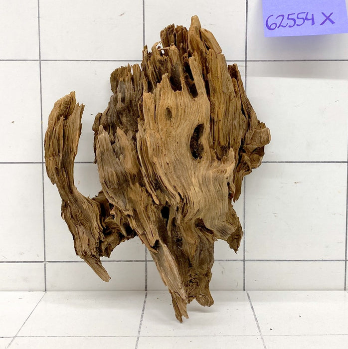 62554X - XINGU Wood Wurzelholz mit geschnittener Grundfläche