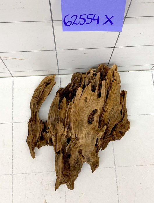 62554X - XINGU Wood Wurzelholz mit geschnittener Grundfläche