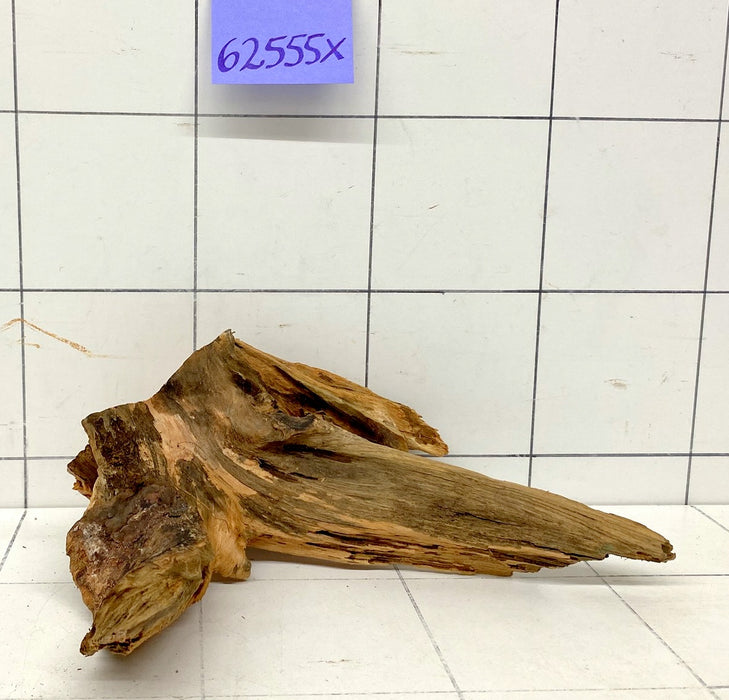 62555X - XINGU Wood Wurzelholz mit geschnittener Grundfläche