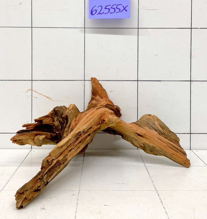62555X - XINGU Wood Wurzelholz mit geschnittener Grundfläche